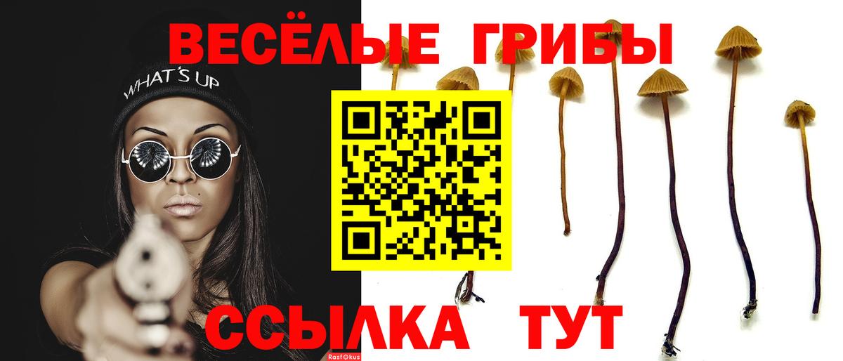 Галлюциногенные грибы ЛСД  Вход с VPN  Волгоград 